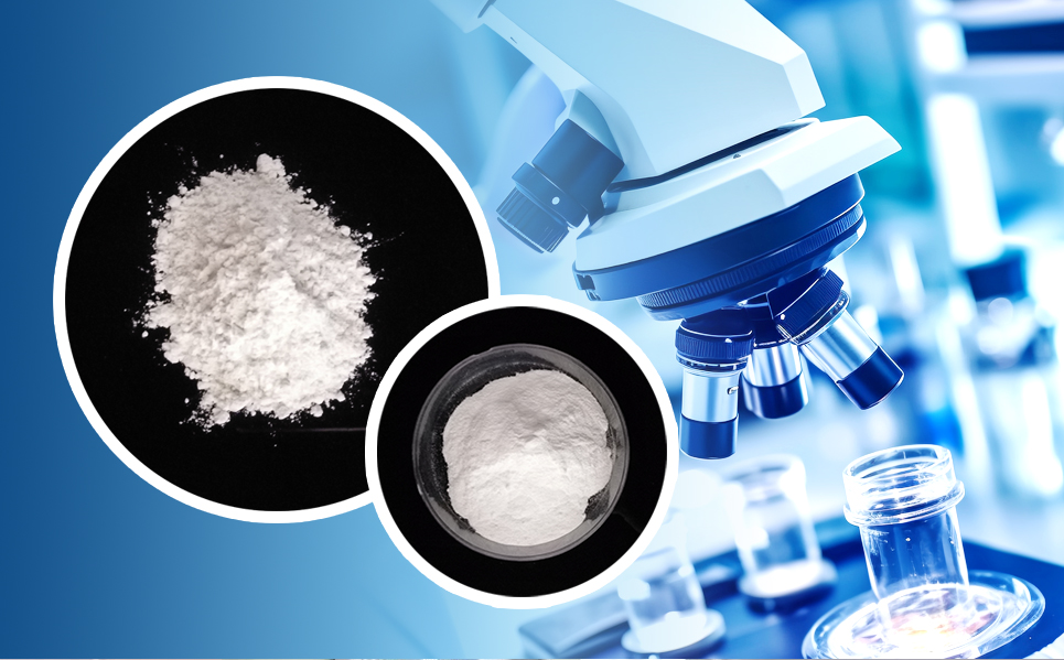 合乐HL8·(中国区)集团-官方网站